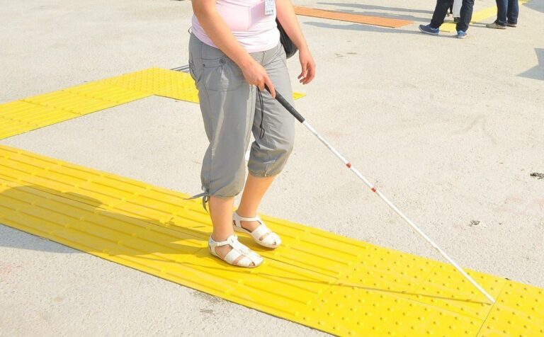 Görme Engelli Yürüme Yolu: Erişilebilir Bir Dünya İçin Kılavuz
