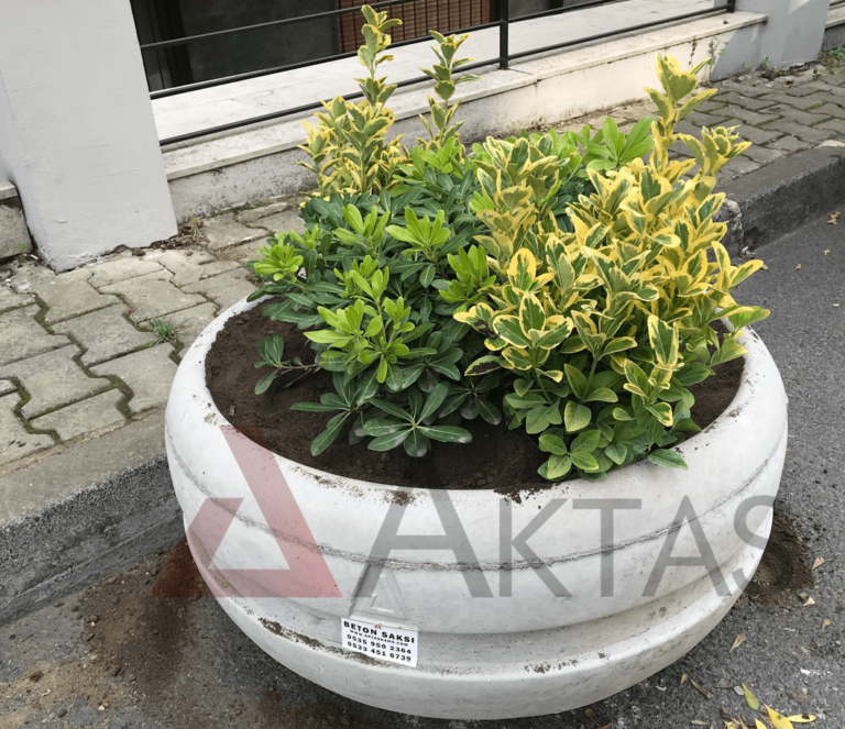 Yuvarlak Beton Saksı Gri 80x80x40 cm
